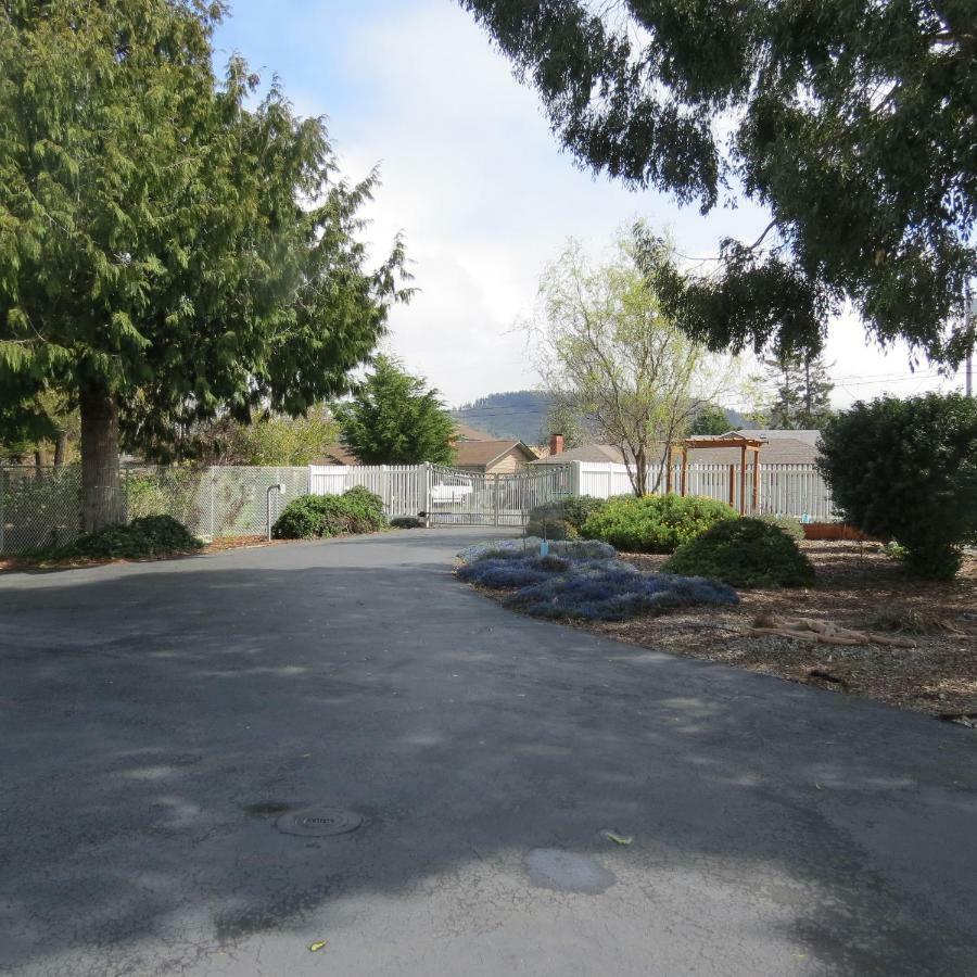 Tanbark Shores Guest Suite Brookings Εξωτερικό φωτογραφία